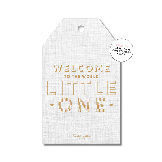 Welcome to the world Gift Tag